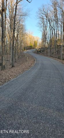 119 Pineridge Loop, Fairfield Glade, TN 38558