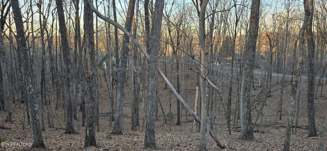119 Pineridge Loop, Fairfield Glade, TN 38558