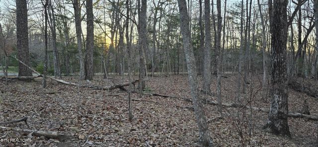 119 Pineridge Loop, Fairfield Glade, TN 38558