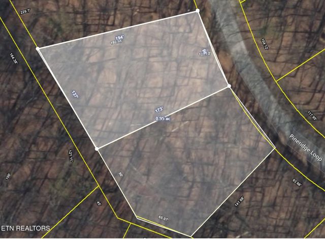 119 Pineridge Loop, Fairfield Glade, TN 38558