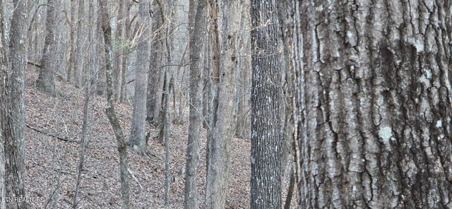 119 Pineridge Loop, Fairfield Glade, TN 38558