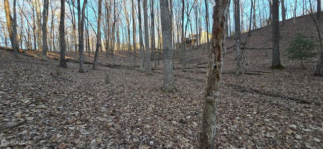 119 Pineridge Loop, Fairfield Glade, TN 38558