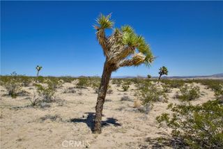 2625 Sunset Road, Joshua Tree, CA 92252