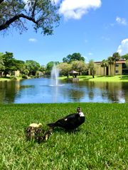830 SW 9th Street Circle APT 201, Boca Raton, FL 33486