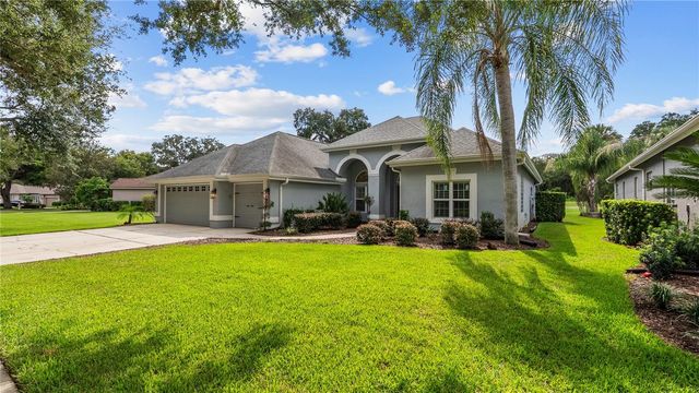 5924 CHERRY OAK DRIVE, Valrico, FL 33596