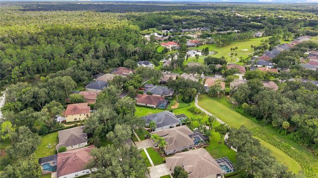 5924 CHERRY OAK DRIVE, Valrico, FL 33596