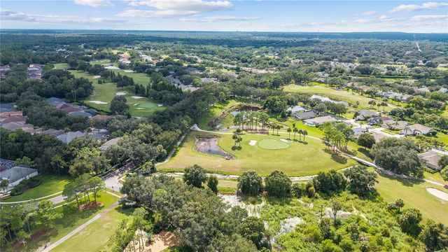 5924 CHERRY OAK DRIVE, Valrico, FL 33596