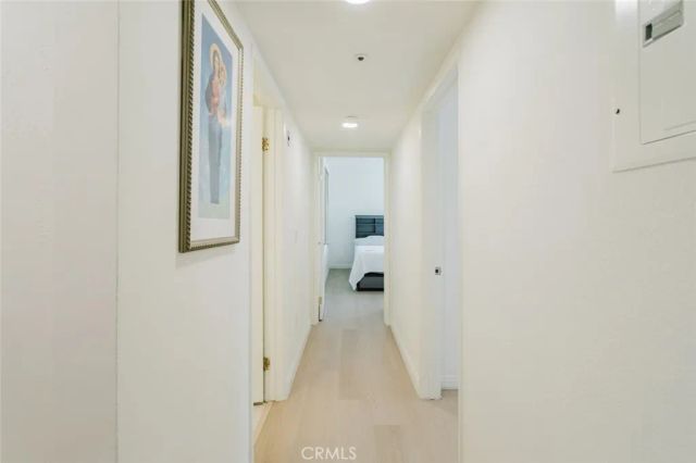 413 Hawthorne Street 206, Glendale, CA 91204