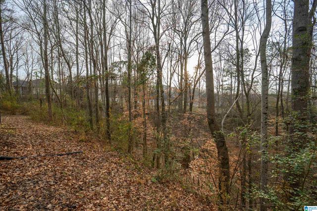 324 FALLISTON COURT, Helena, AL 35080