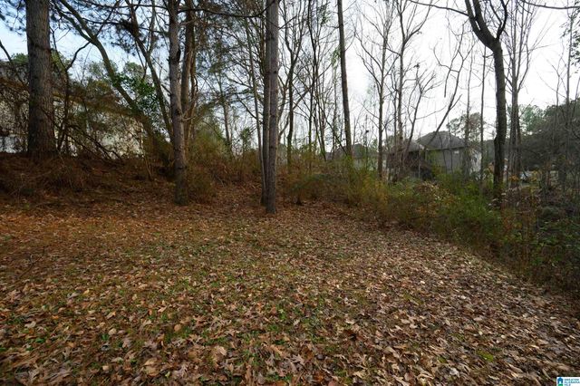 324 FALLISTON COURT, Helena, AL 35080