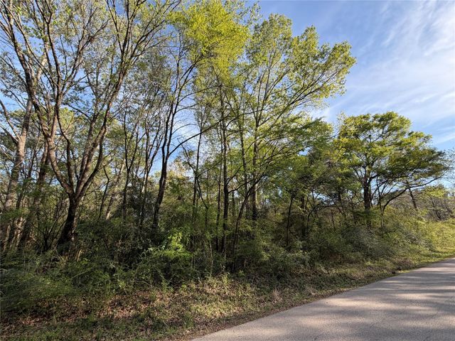 TBD Jackson Road, Coldspring, TX 77331
