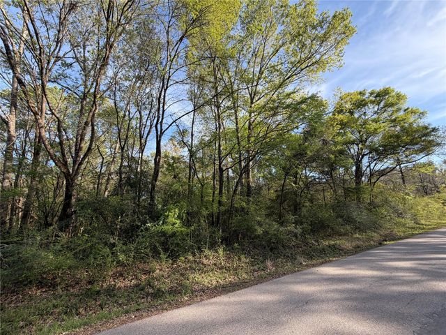 TBD Jackson Road, Coldspring, TX 77331