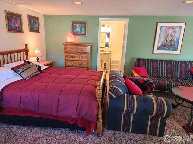 88 Pinyon Trl, Estes Park, CO 80517