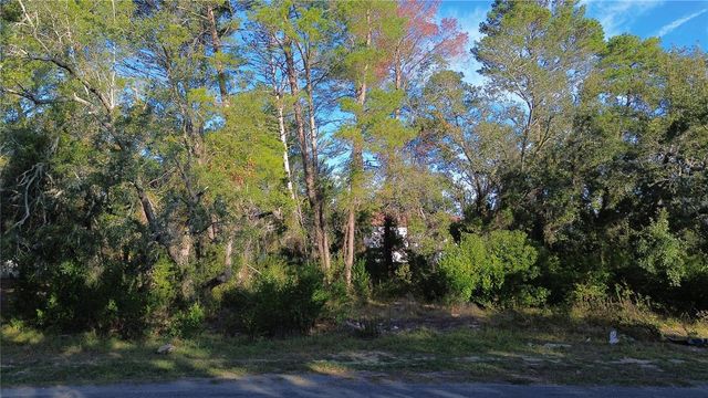 7931 RHANBUOY ROAD, Spring Hill, FL 34606