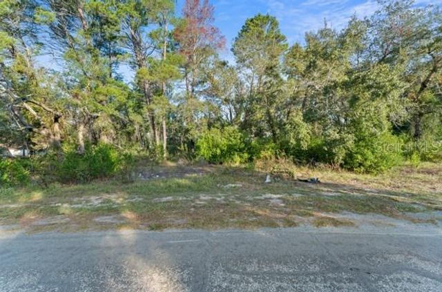 7931 RHANBUOY ROAD, Spring Hill, FL 34606