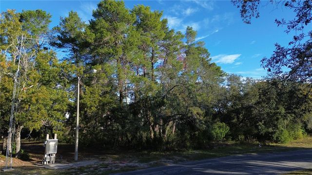 7931 RHANBUOY ROAD, Spring Hill, FL 34606