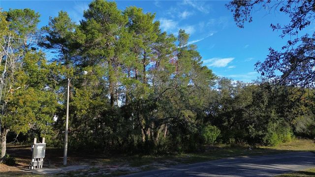 7931 RHANBUOY ROAD, Spring Hill, FL 34606