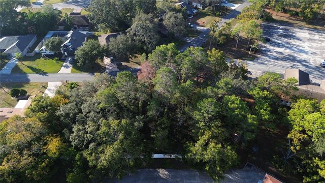 7931 RHANBUOY ROAD, Spring Hill, FL 34606