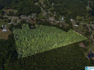 0 SYCAMORE STREET, Jemison, AL 35085