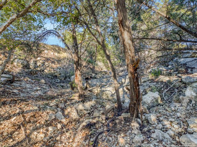 1230 Greenbriar, Canyon Lake, TX 78133