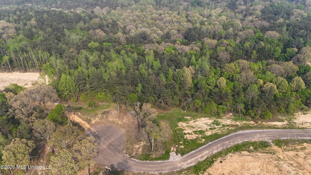 10 Tyro Branch Cove, Senatobia, MS 38668 — photo 2