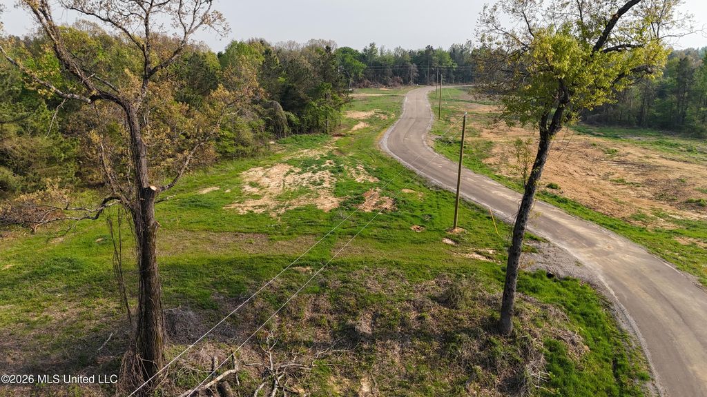 10 Tyro Branch Cove, Senatobia, MS 38668 — photo 3