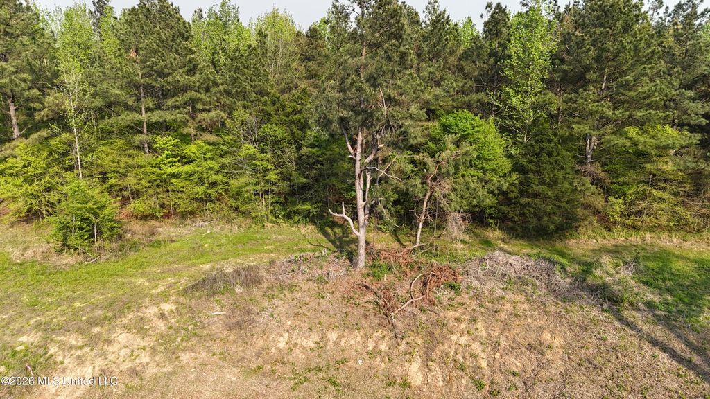 10 Tyro Branch Cove, Senatobia, MS 38668 — photo 4