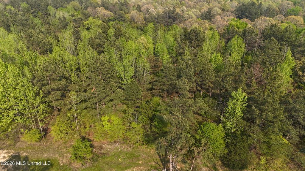 10 Tyro Branch Cove, Senatobia, MS 38668 — photo 5