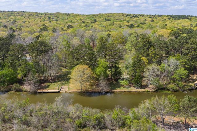 18718 RIVER DRIVE, Shelby, AL 35143