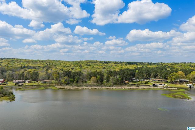 18718 RIVER DRIVE, Shelby, AL 35143