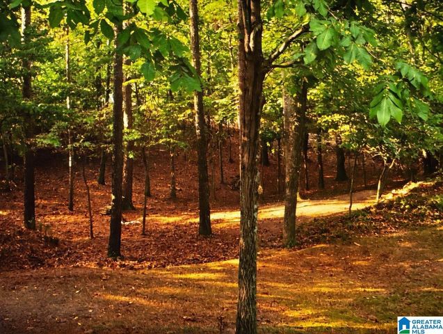 18718 RIVER DRIVE, Shelby, AL 35143