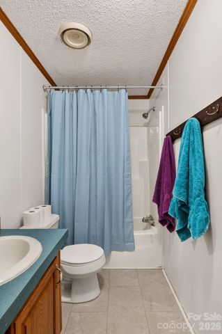 611 Turkey Creek Terrace, Leicester, NC 28748