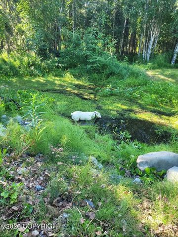 3975 S France Court, & 3951, Big Lake, AK 99652