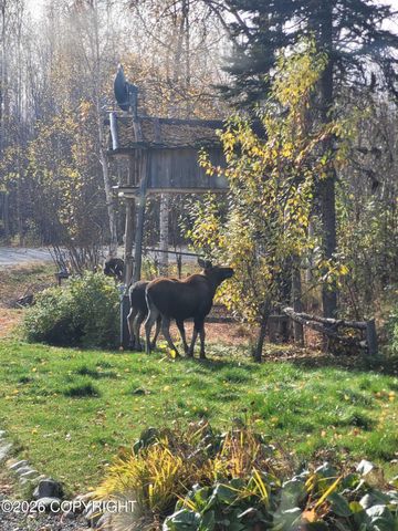 3975 S France Court, & 3951, Big Lake, AK 99652