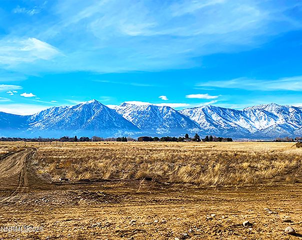 1100 Wyatt Lane, Gardnerville, NV 89460