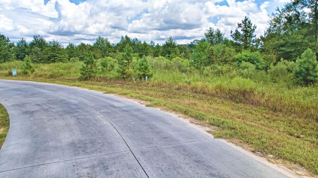 217 County Road 3581, Cleveland, TX 77327
