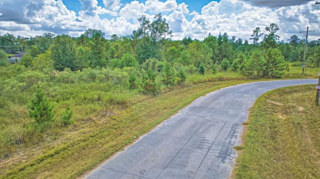 217 County Road 3581, Cleveland, TX 77327
