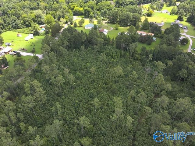 Lot B Taylor Circle, Somerville, AL 35670