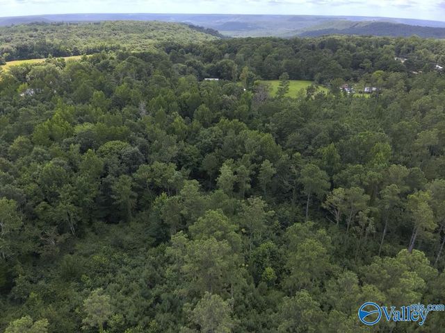 Lot B Taylor Circle, Somerville, AL 35670