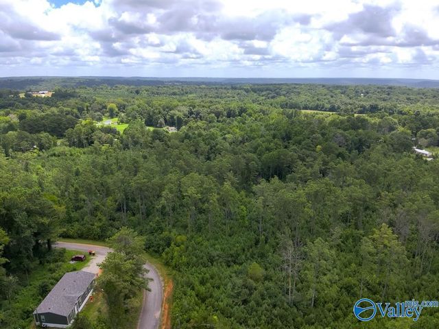 Lot B Taylor Circle, Somerville, AL 35670