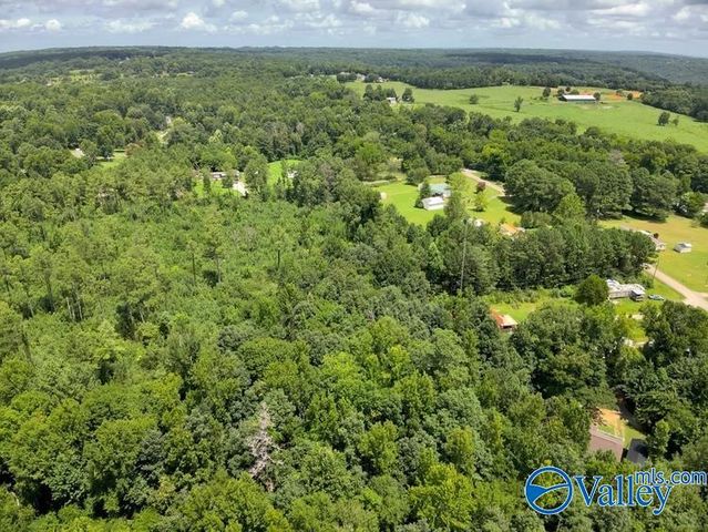 Lot B Taylor Circle, Somerville, AL 35670