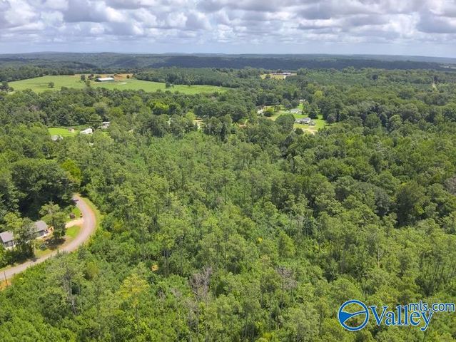 Lot B Taylor Circle, Somerville, AL 35670