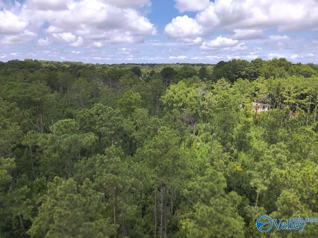 Lot B Taylor Circle, Somerville, AL 35670