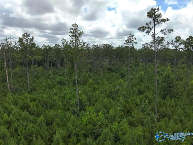 Lot B Taylor Circle, Somerville, AL 35670
