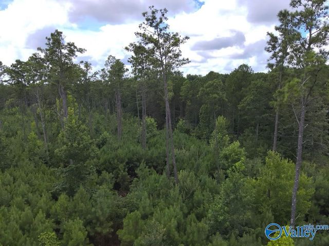 Lot B Taylor Circle, Somerville, AL 35670