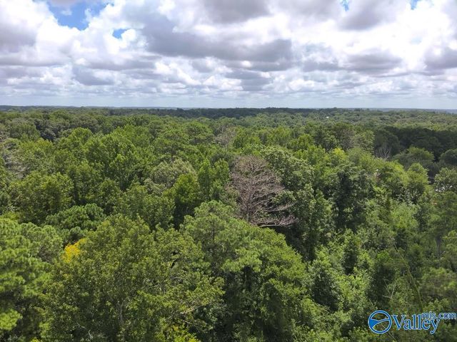 Lot B Taylor Circle, Somerville, AL 35670