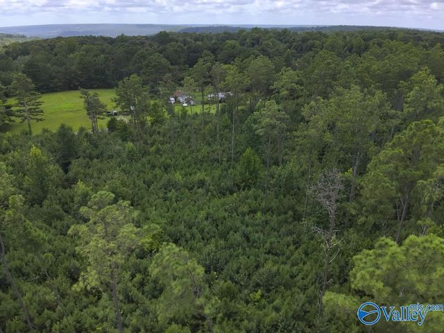 Lot B Taylor Circle, Somerville, AL 35670