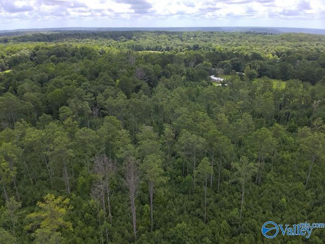 Lot B Taylor Circle, Somerville, AL 35670