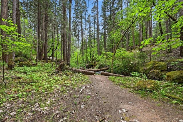 10433 Park Avenue Extension, Nevada City, CA 95959