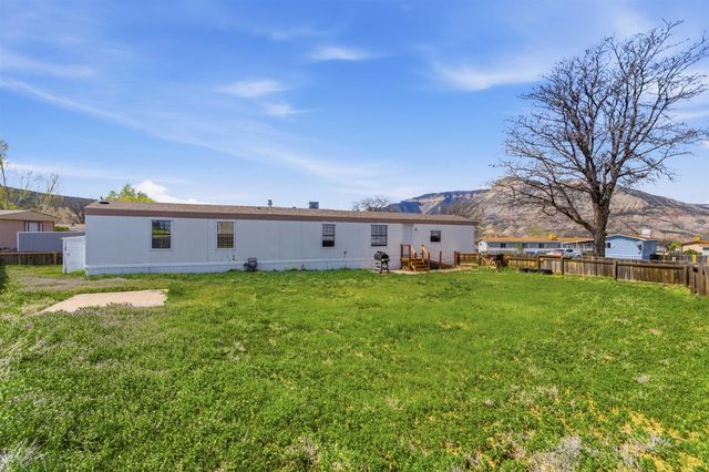 20 Iron Wedge Circle, Parachute, CO 81635